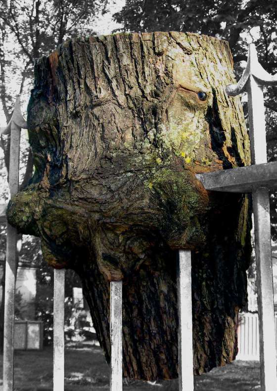 Door het Hek Luc Sponselee